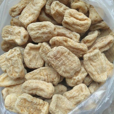 云南小草坝天麻