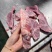 满肉扇骨条