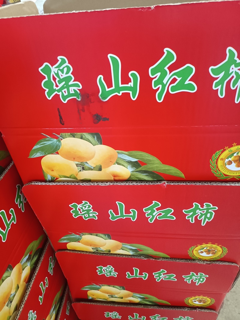 恭成脆柿，红柿，大量上市