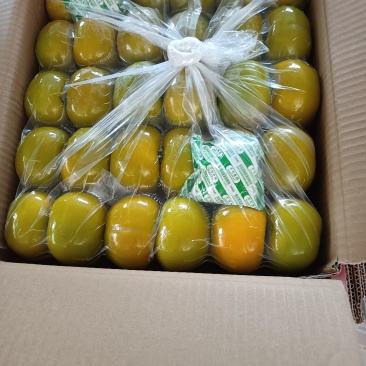 恭成脆柿，红柿，大量上市