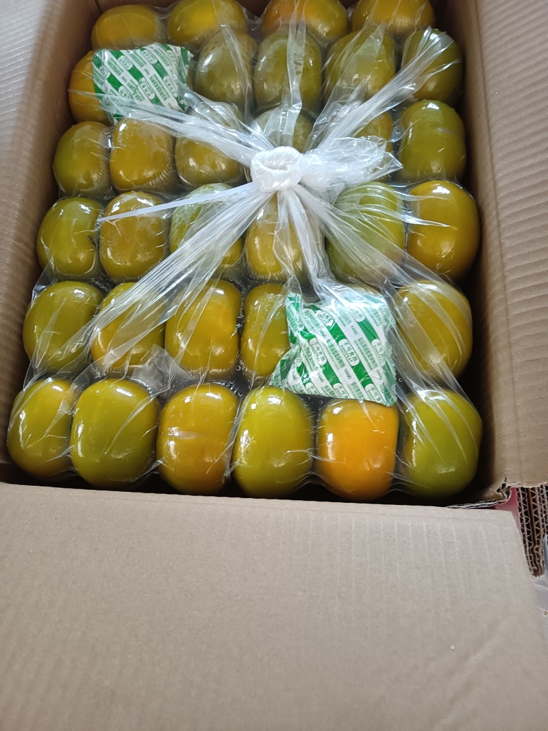 恭成脆柿，红柿，大量上市