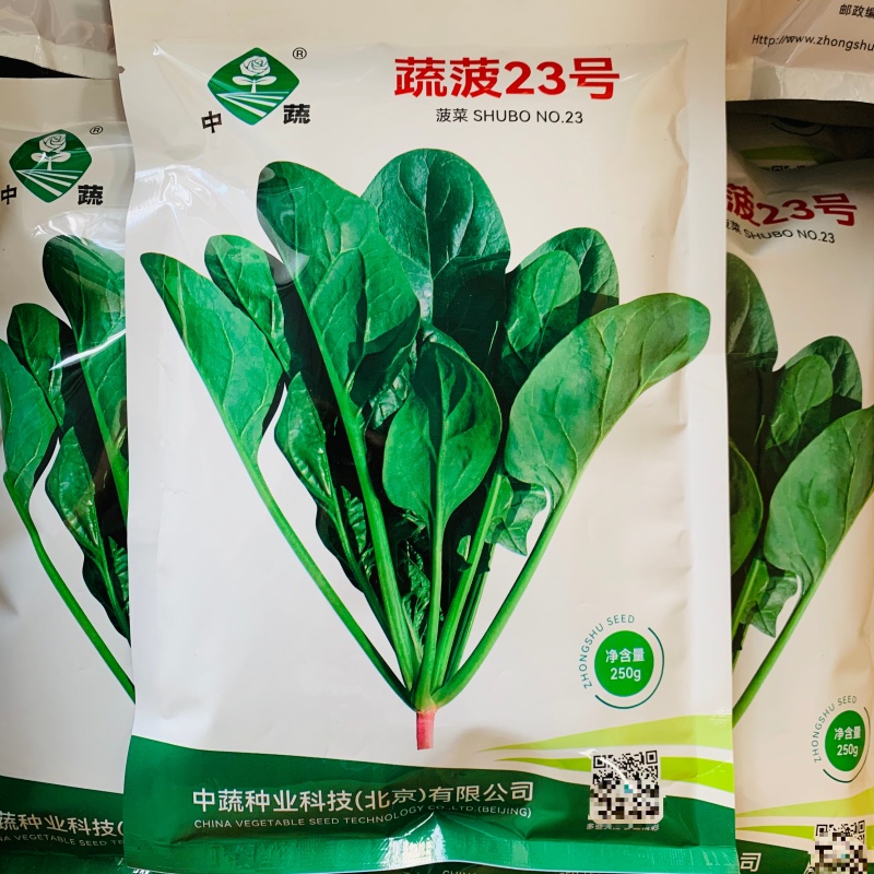 中蔬农科院菠菜种子蔬菠23号菠菜种籽杂交油绿耐寒春秋越冬