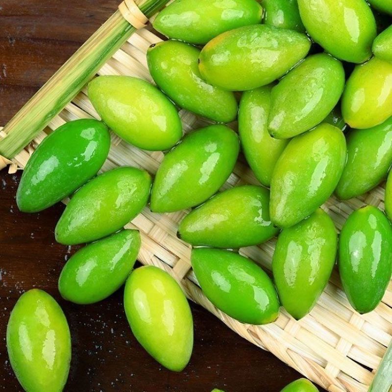 橄榄发源地新鲜现采青橄榄:正宗闽清梅香二号橄榄