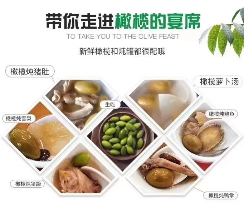 橄榄发源地新鲜现采青橄榄:正宗闽清梅香二号橄榄
