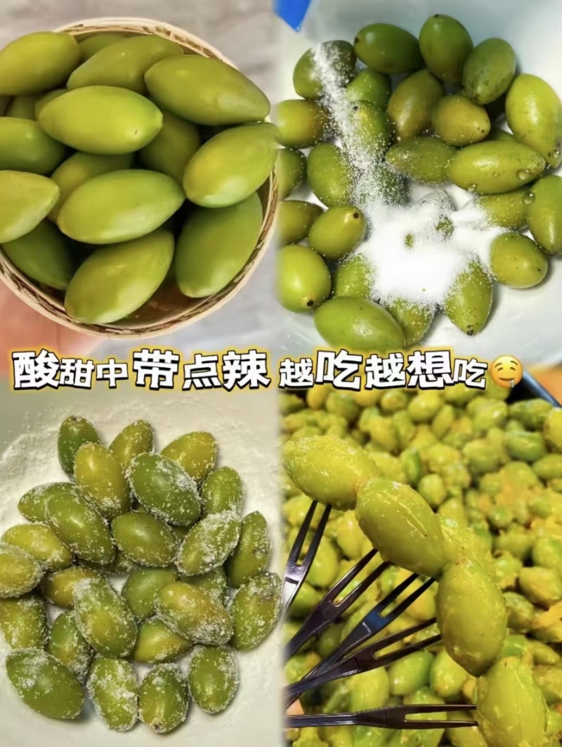 橄榄发源地新鲜现采青橄榄:正宗闽清梅香二号橄榄