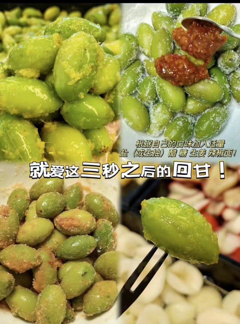 橄榄发源地新鲜现采青橄榄:正宗闽清梅香二号橄榄