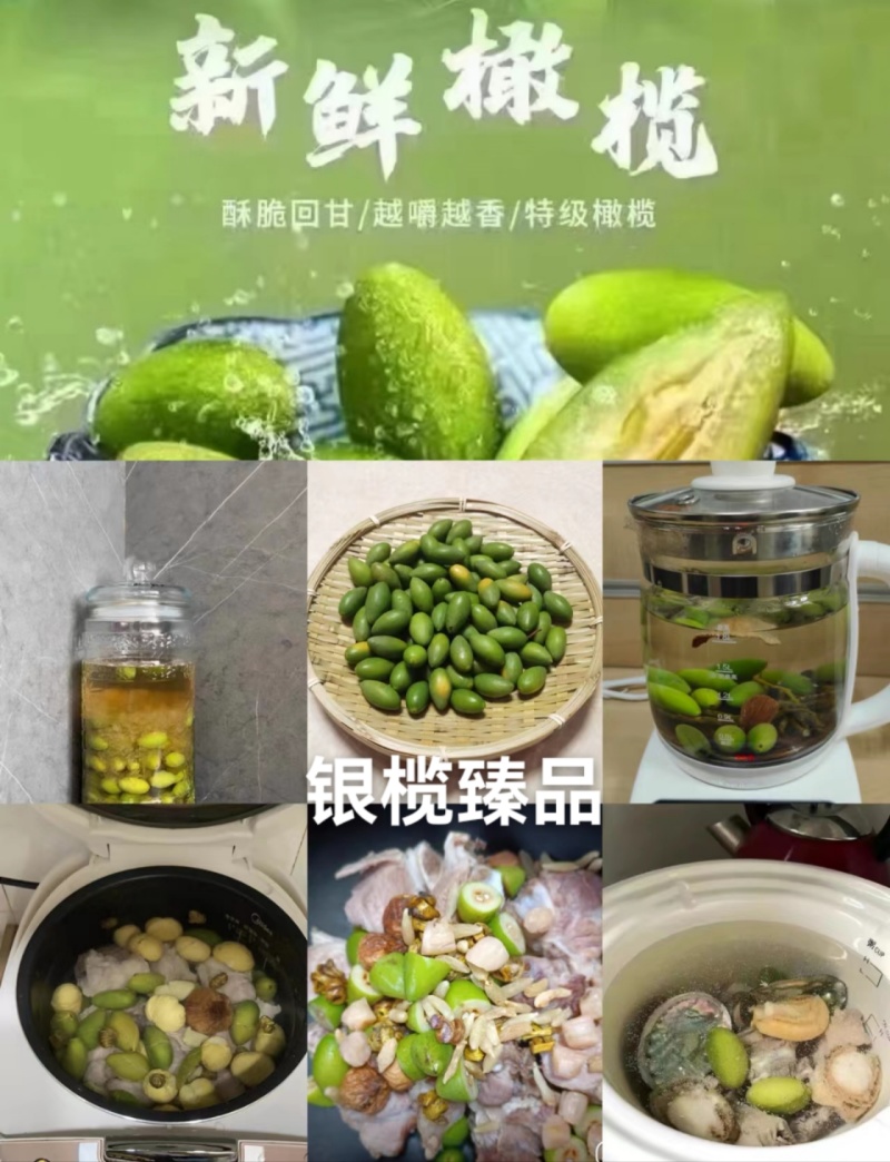 橄榄发源地新鲜现采青橄榄:正宗闽清梅香二号橄榄