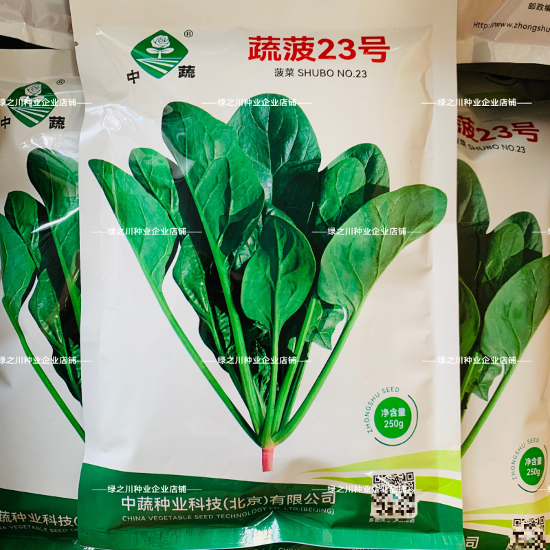 中蔬农科院菠菜种子蔬菠23号菠菜种籽杂交油绿耐寒春秋越冬