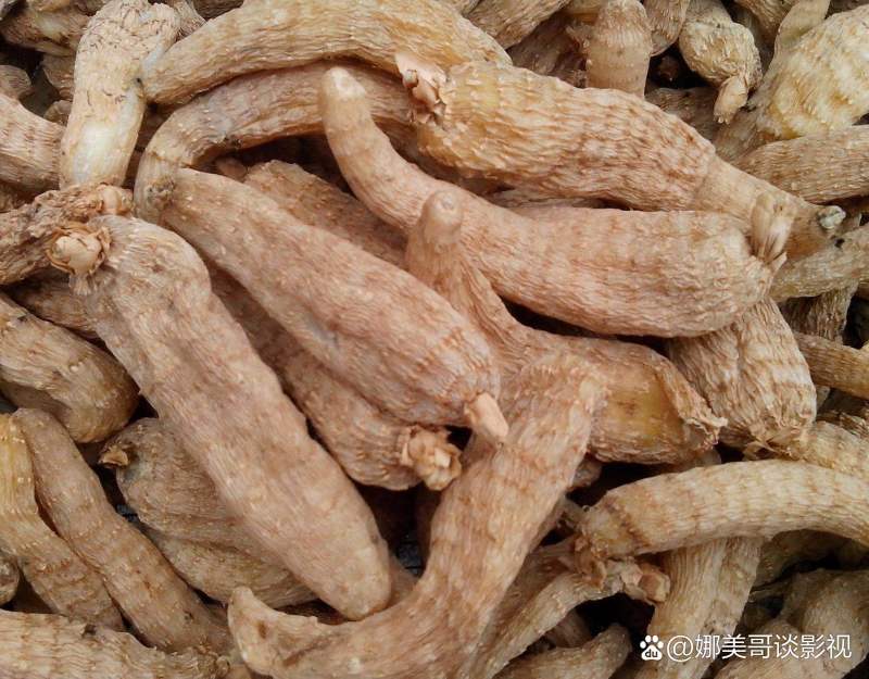 云南小草坝天麻