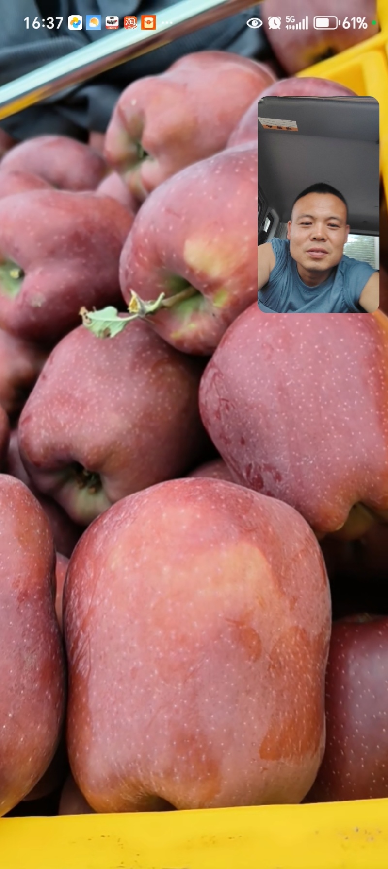 花牛