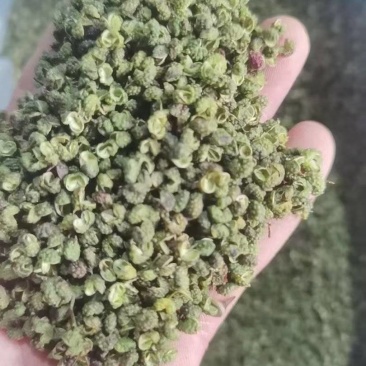 大凉山青花椒特级特麻开口90以上青麻椒批发