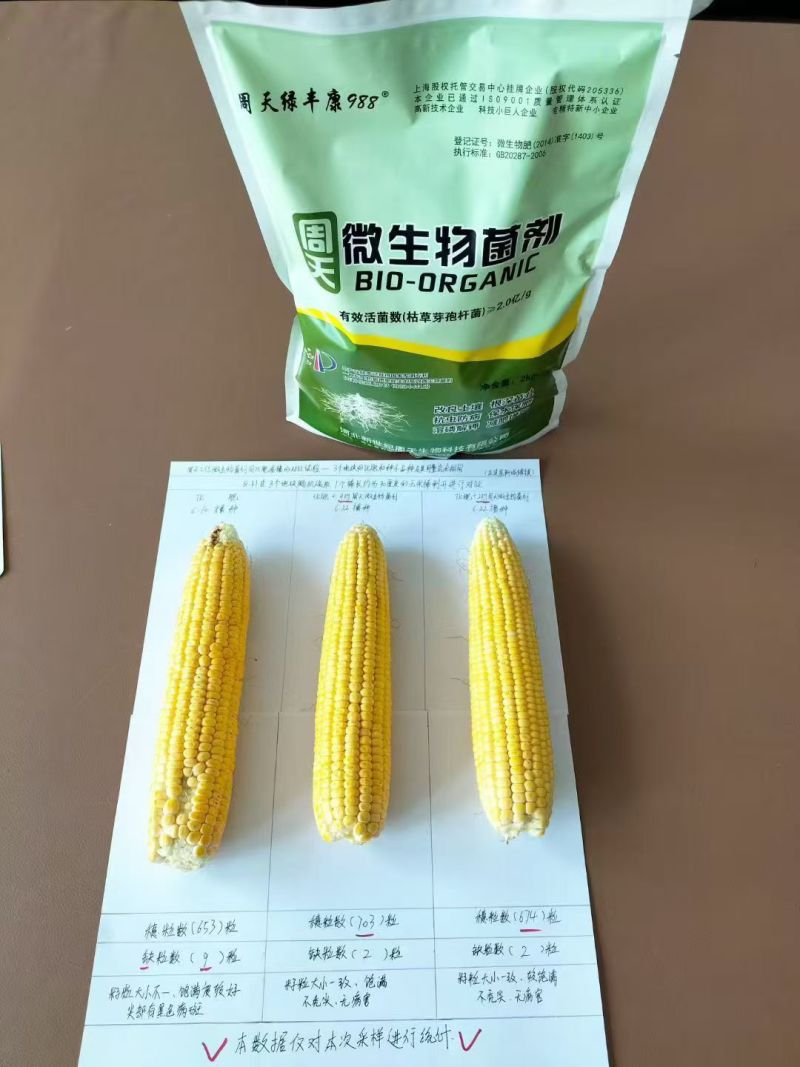 微生物菌剂绿丰康998沃土防病根深苗壮抗虫增效溶磷解钾