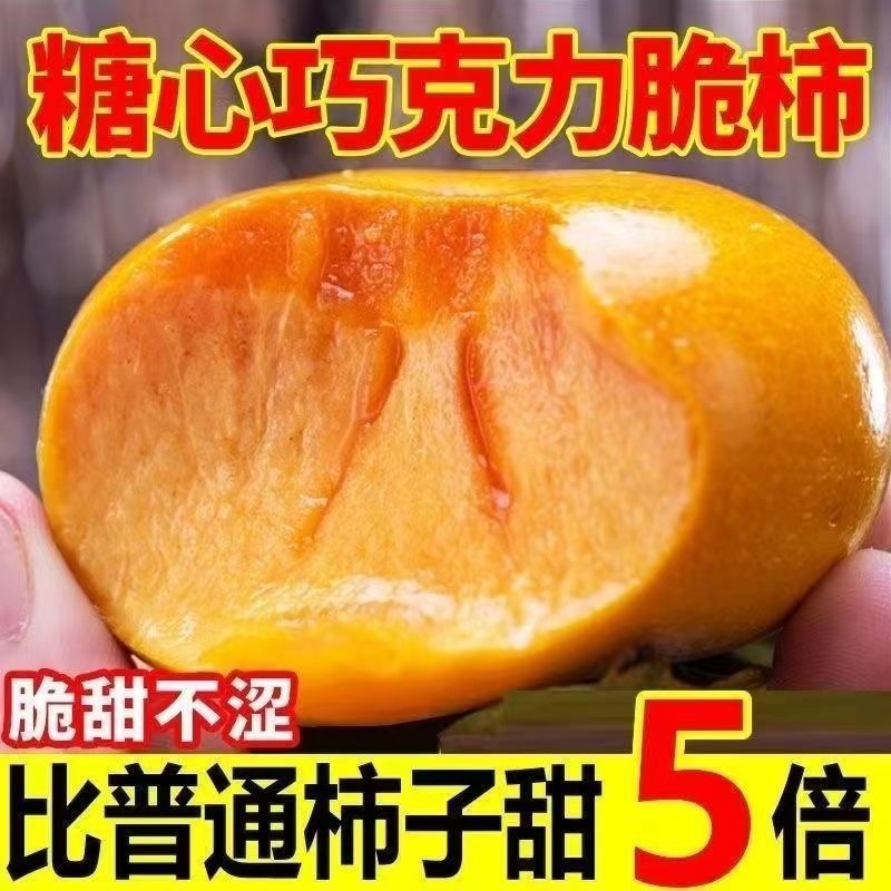 （一件代发）山西巧克力阳丰脆柿子整箱包邮批发新鲜水果