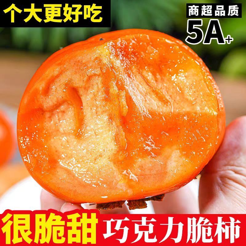 （一件代发）山西巧克力阳丰脆柿子整箱包邮批发新鲜水果