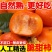 （一件代发）山西巧克力阳丰脆柿子整箱包邮批发新鲜水果