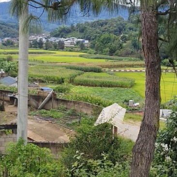 云南普洱澜沧县水田出租