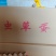 江苏虫草蛋/盐城初生蛋/散养双色虫生蛋/黄心红心便宜