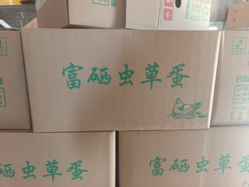 江苏虫草蛋/盐城初生蛋/散养双色虫生蛋/黄心红心便宜