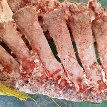 不带肉脊骨