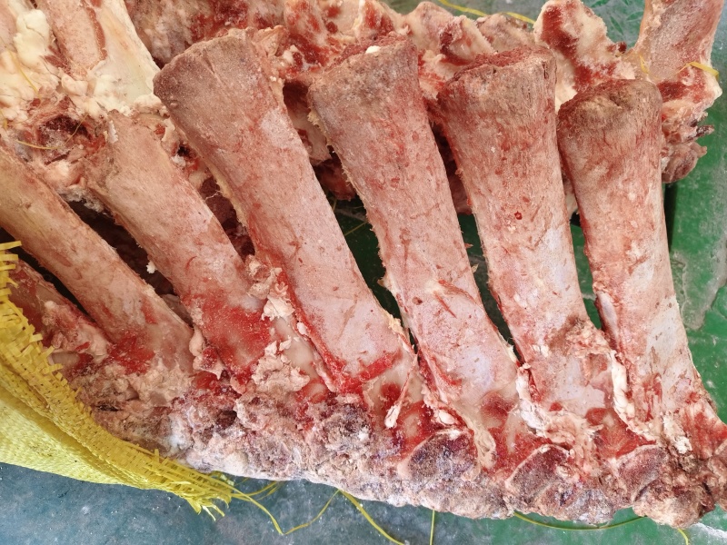 不带肉脊骨
