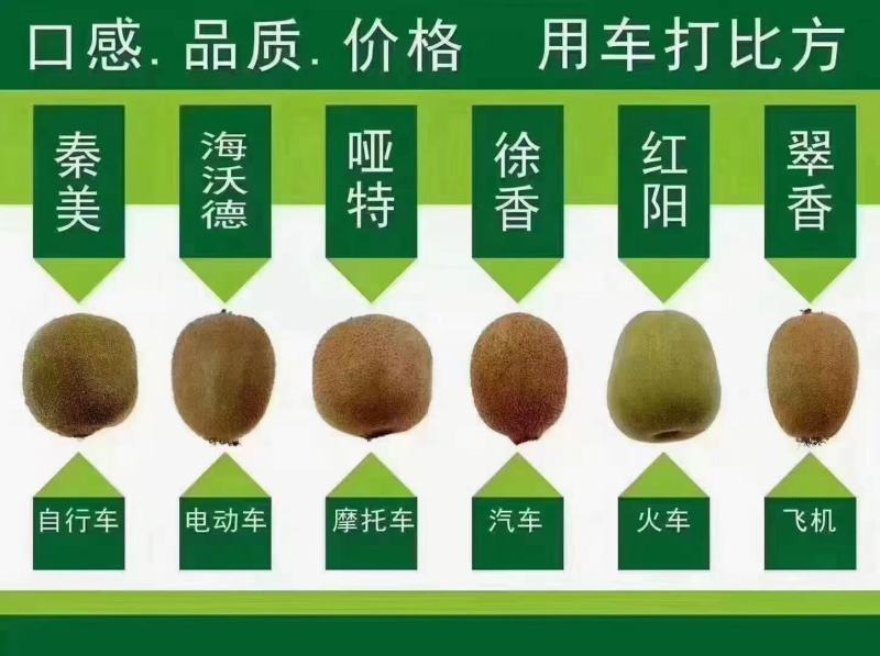 眉县翠香猕猴桃5斤礼盒装严格筛选品质保障营养丰富