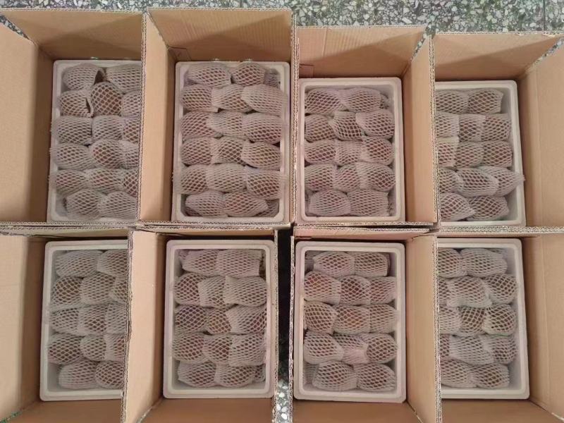 眉县翠香猕猴桃5斤礼盒装严格筛选品质保障营养丰富
