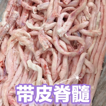 带皮脊髓