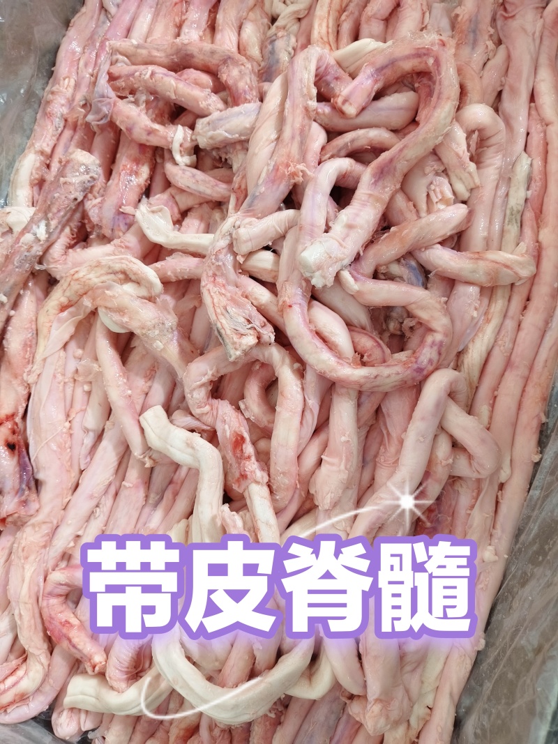 带皮脊髓