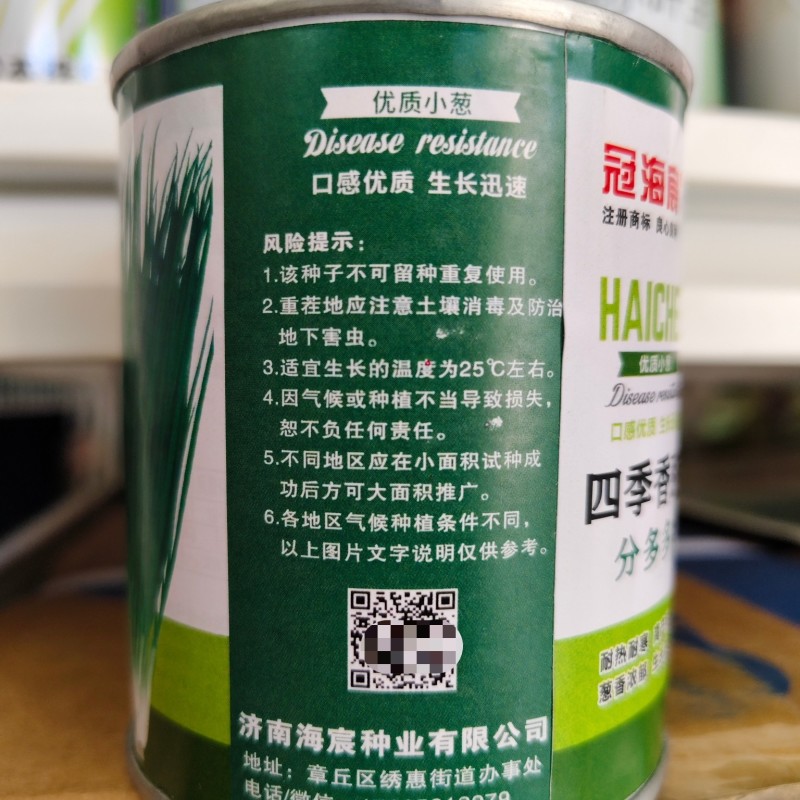 四季小香葱分多多小葱种子四季分葱种籽芽葱种子小葱庭院大田