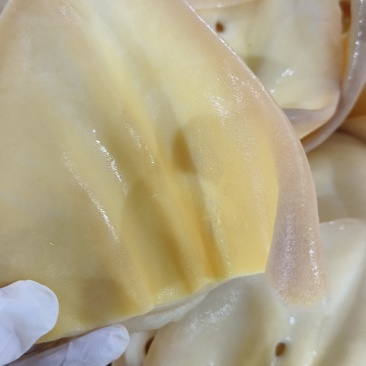 去毛耳片