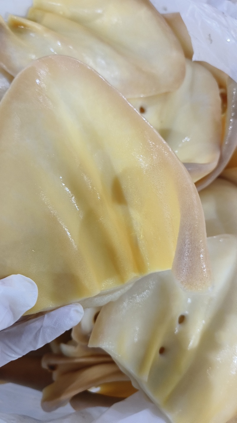 去毛耳片