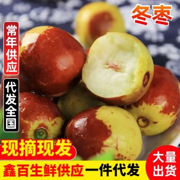 冬枣~山东沾化大棚露天鲜枣商超市场批发对接电商一件代发