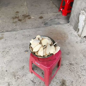 构树杆片