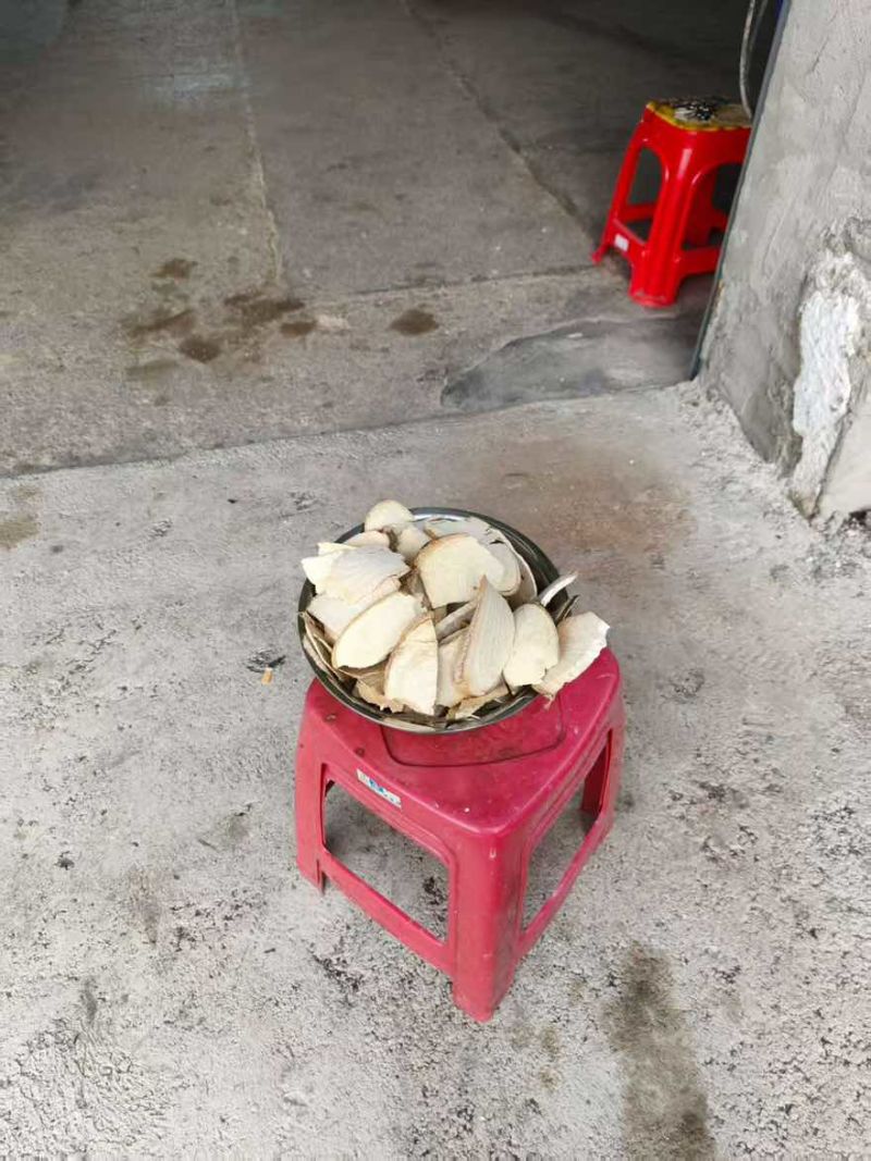 构树杆片