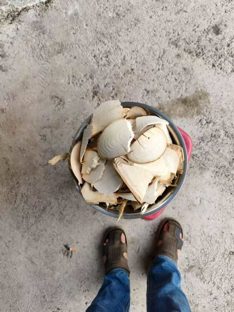 构树杆片