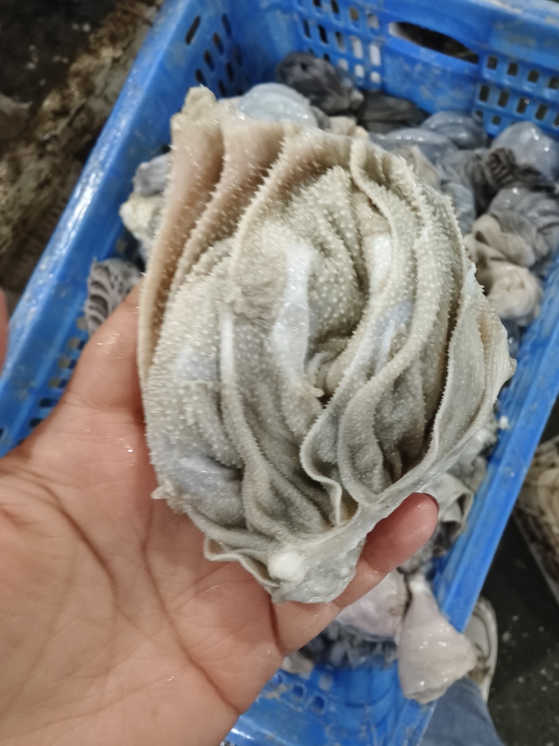 羊百叶