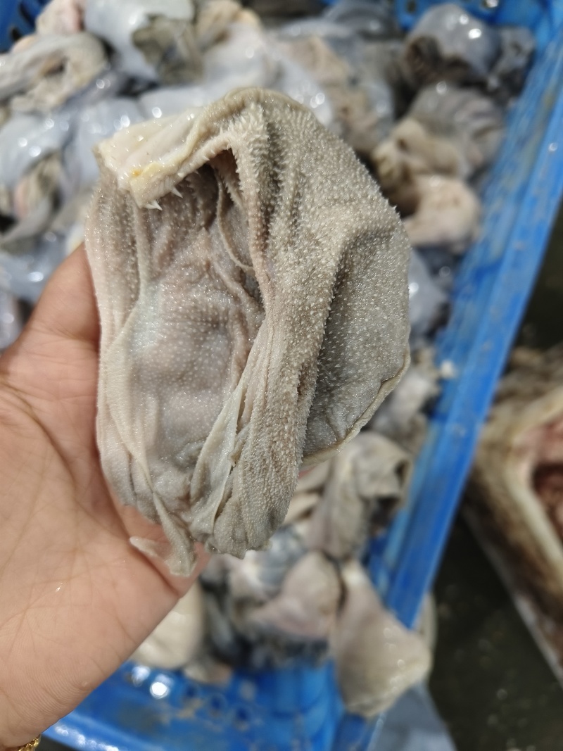 羊百叶