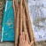 河北小白嘴，皮白肉质细腻，软糯香甜