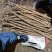 河北小白嘴，皮白肉质细腻，软糯香甜