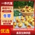 冬枣~山东沾化大棚露天鲜枣商超市场批发对接电商一件代发
