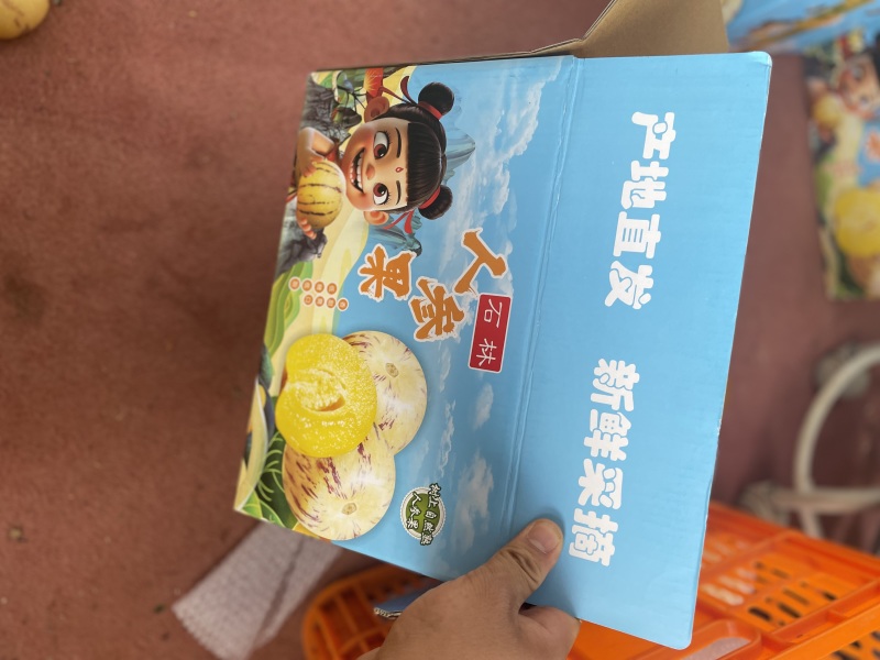 云南人参果树熟果一件代发