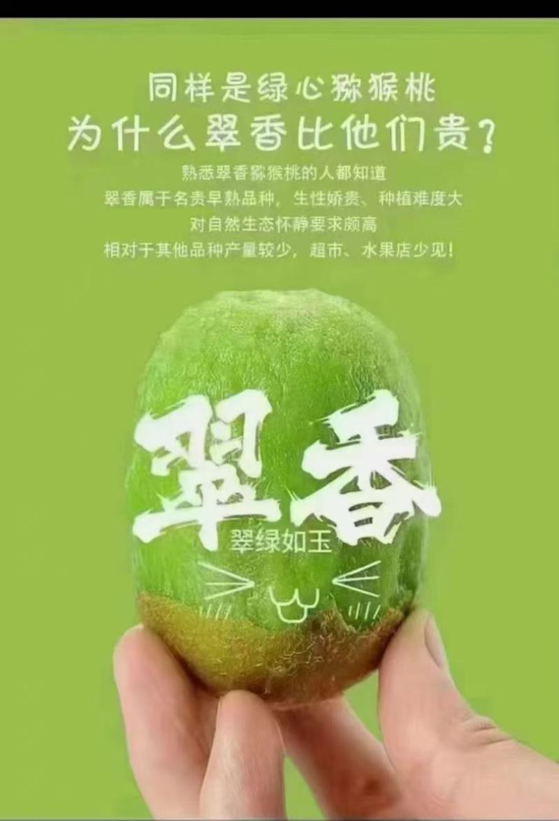 眉县翠香猕猴桃10斤装严格筛选品质保障营养丰富