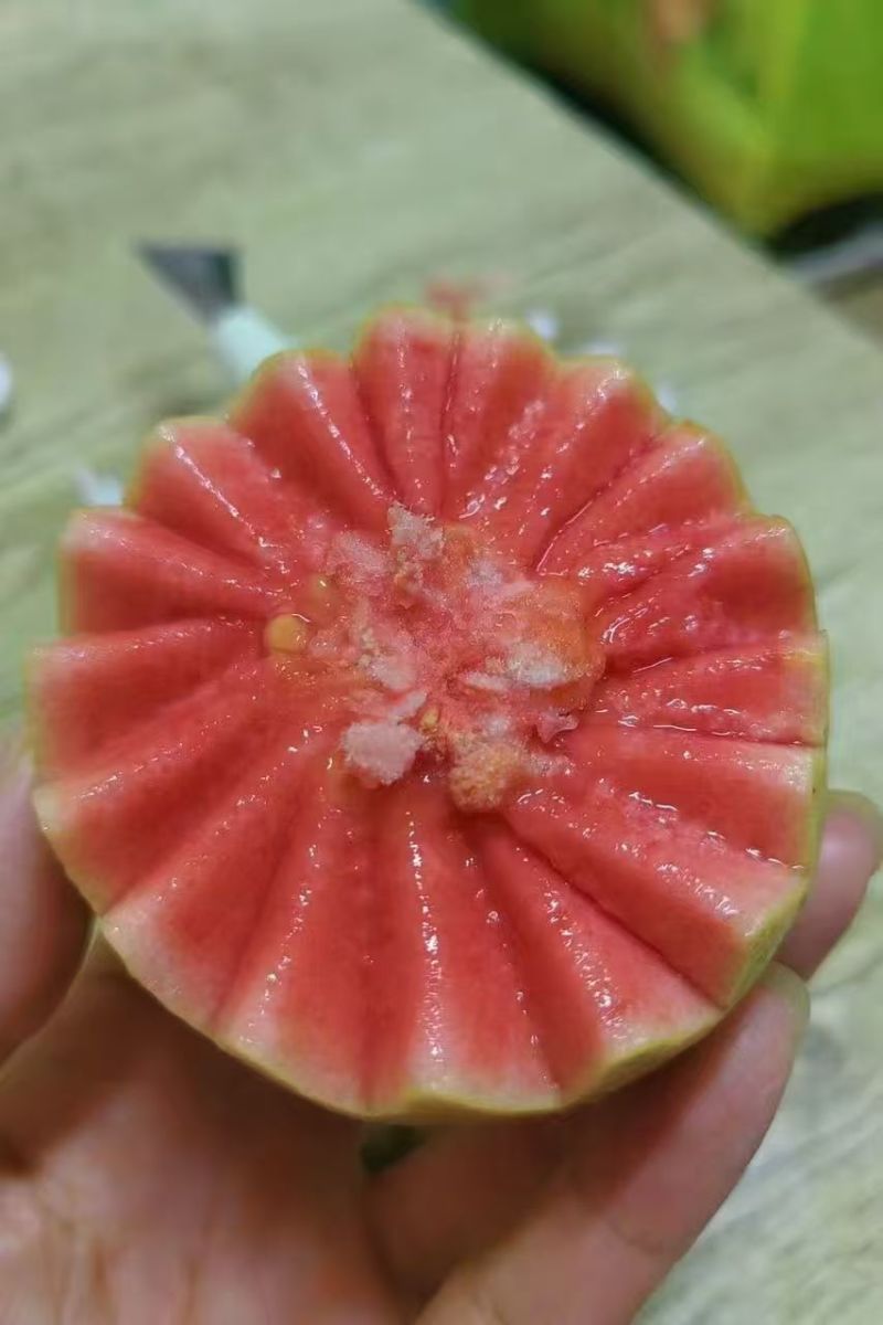 云南红心番石榴/红河红心芭乐/红宝石红心芭乐/便宜