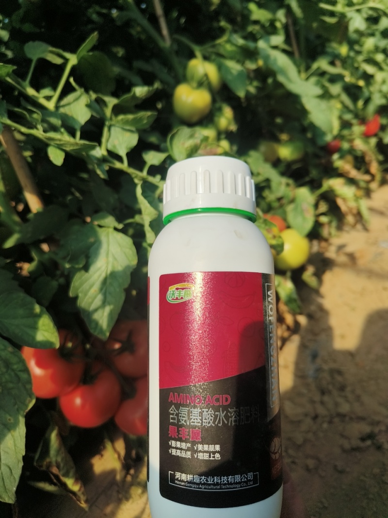 膨果叶面含氨基酸水溶肥料膨果增产美果靓果提高品质增甜上色