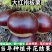 板栗树苗，大红袍板栗，保证品种，保证成活，不成活退款