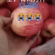 宁夏红富士