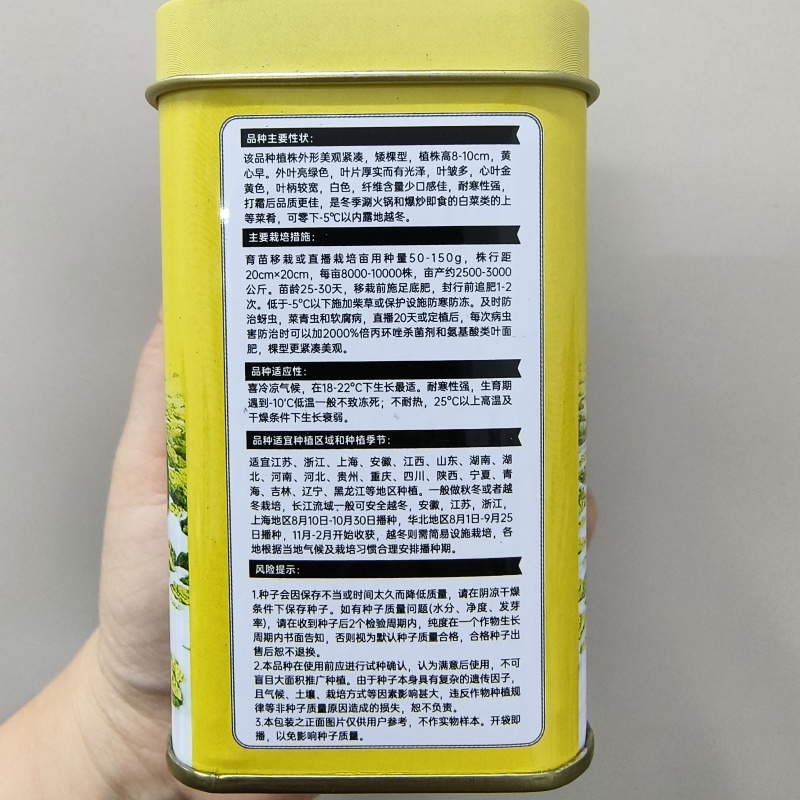 美味金芯翠玉黄心乌种子矮棵黄心乌种籽秋季耐寒越冬菊花心菜