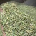 甘肃张掖茴香产地直供大量有货，品质保证，诚信经营，全国发