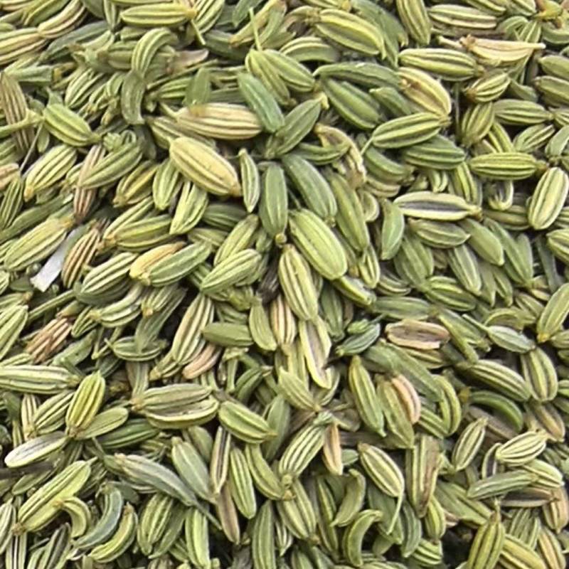 甘肃张掖茴香产地直供大量有货，品质保证，诚信经营，全国发