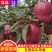 【热卖】甘肃天水花牛苹果基地直供品质保证量大优惠